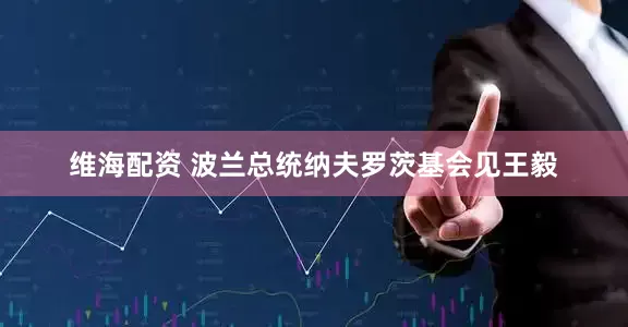 维海配资 波兰总统纳夫罗茨基会见王毅